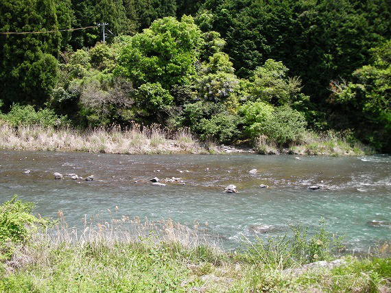 7744e57f.jpg
