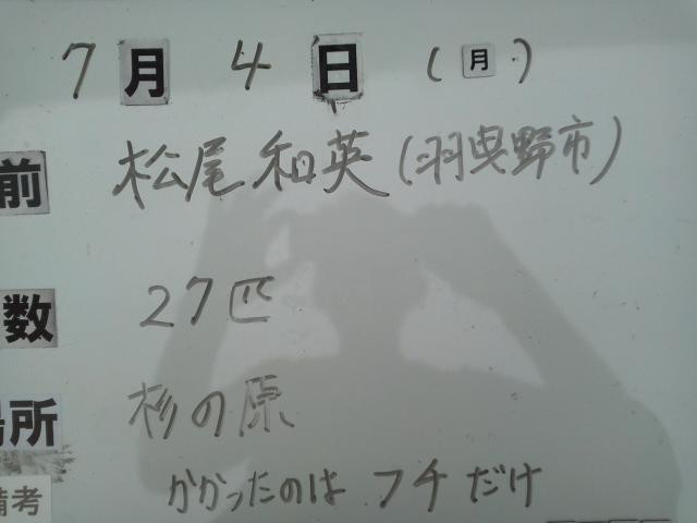 7774c063.jpg
