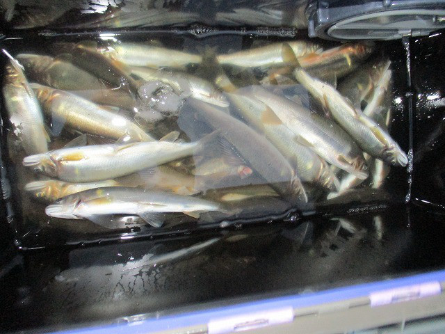 782884b9.jpg