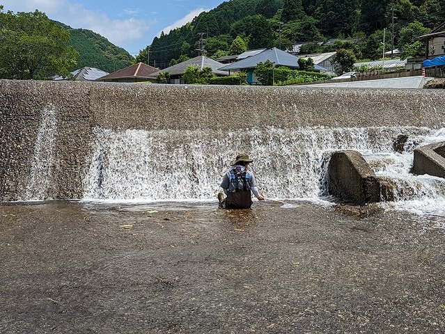 PXL_20220625_015346596