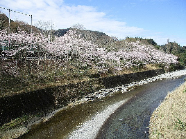 79541c00.jpg