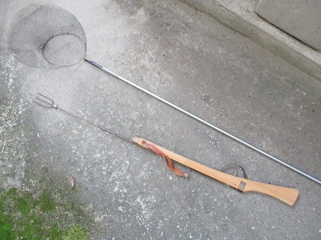 7a8600d4.jpg