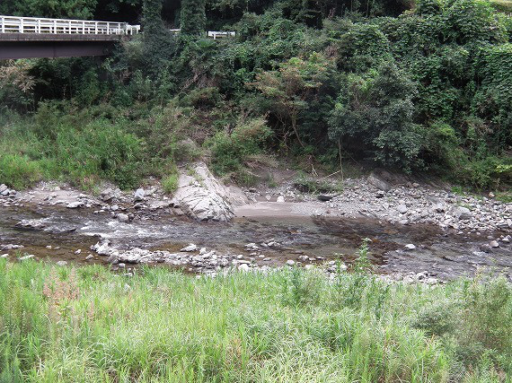 7e575983.jpg