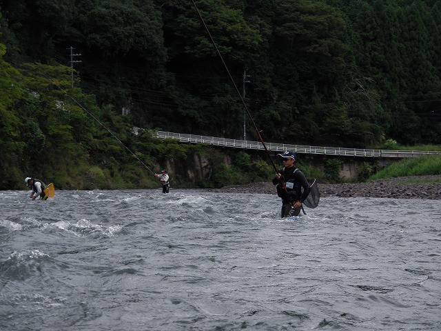7f74d518.jpg