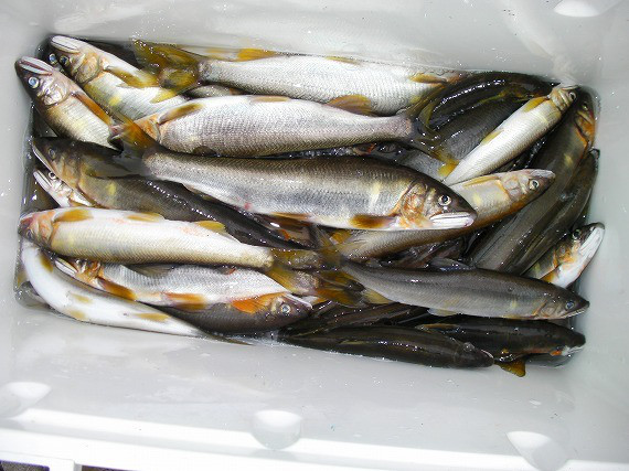 7fa0ae53.jpg