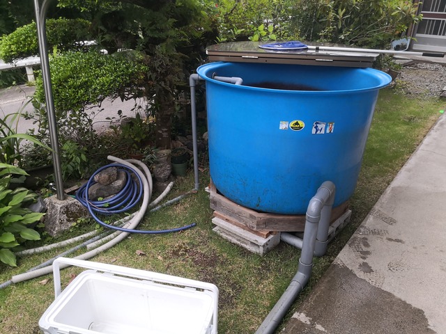 IMG_20200621_175217