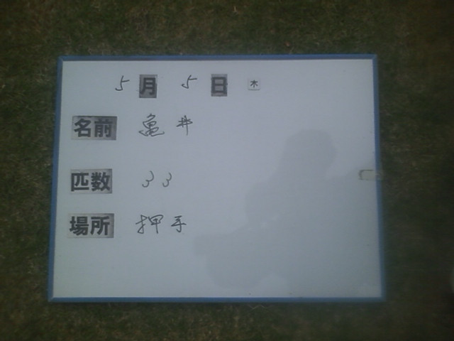 807f5a69.jpg