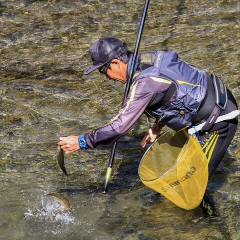 島名人 尺鮎おめでとう でも釣りキチさん子が ゚d゚ 鮎釣り師ガバチャのひとり言 島名人 尺鮎おめでとう でも釣りキチさん子が ゚d゚ 鮎釣り師ガバチャのひとり言