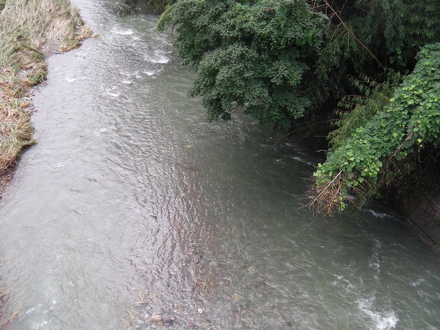 81d79b2d.jpg