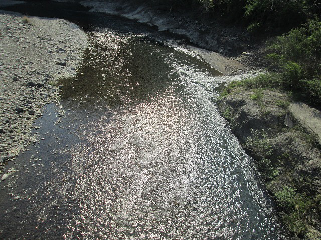 824d836f.jpg