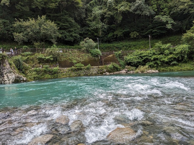 PXL_20230818_041632047.MP