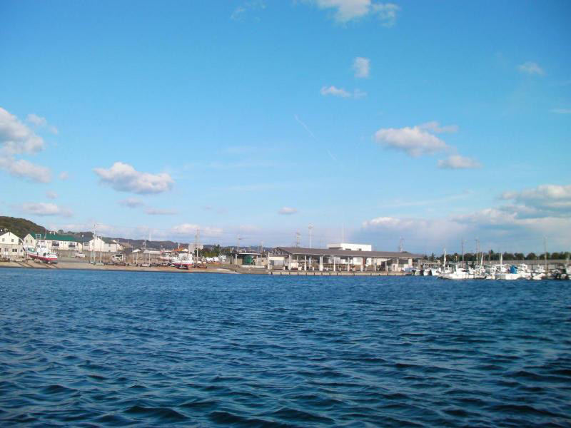 837c732b.jpg