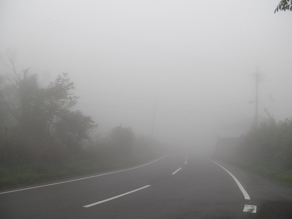 84581c0e.jpg