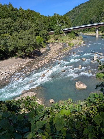 PXL_20250906_045534426.MP