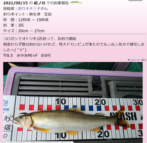 キャプssチャ