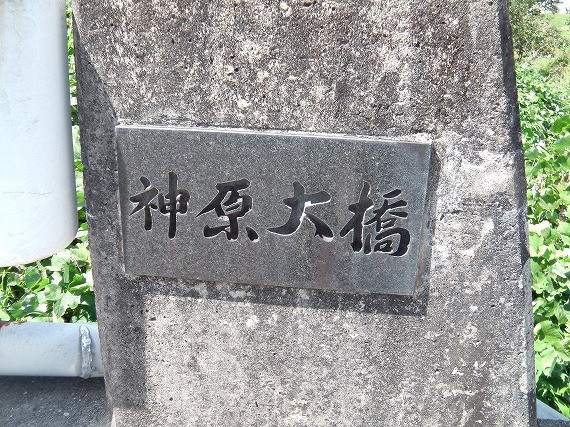 88a7574e.jpg