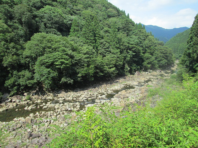 8b80d622.jpg