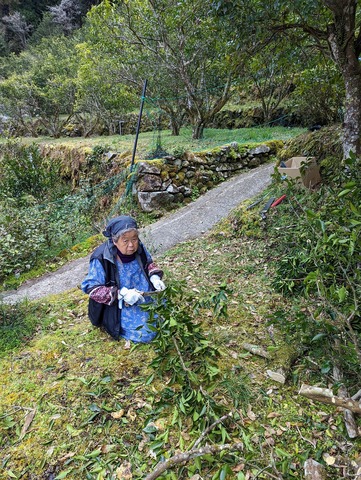 PXL_20230306_014451575(1)