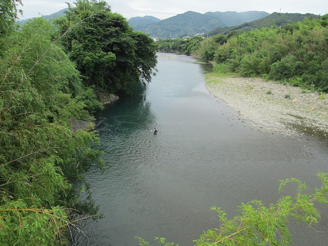 8c75ff45.jpg