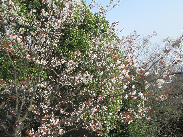 8d6a07f8.jpg