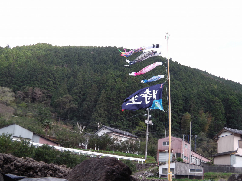 8d7d52e2.jpg