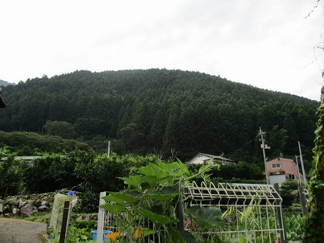 8d91e4fc.jpg