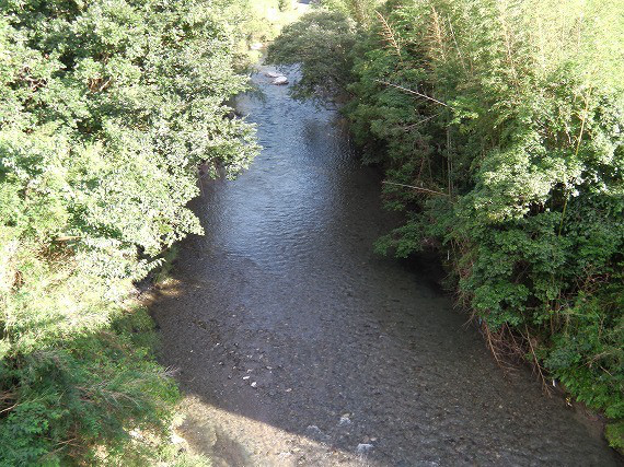 90641d7d.jpg