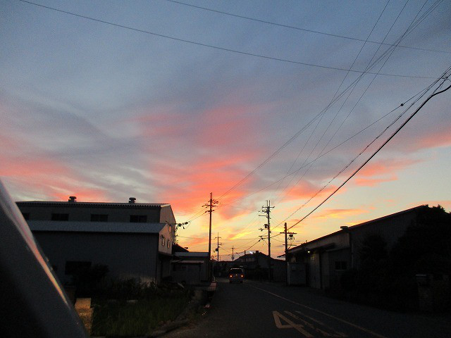 90f52d72.jpg