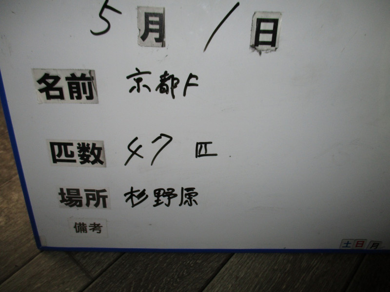 947d81ee.jpg