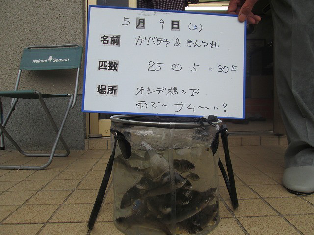 94927f9b.jpg