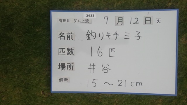 1657616539022