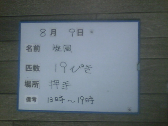 95d68659.jpg