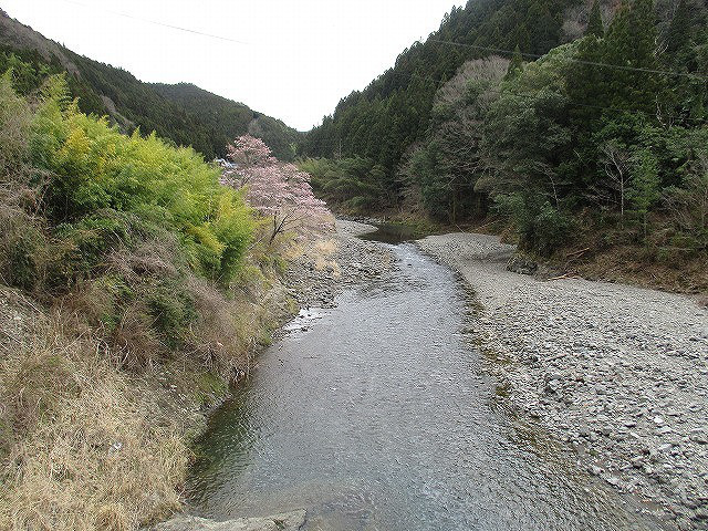 9675cf48.jpg