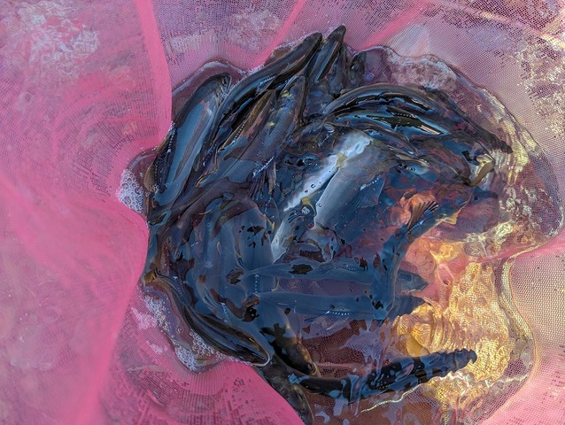 PXL_20230617_072735847