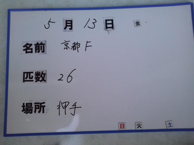 981724d0.jpg