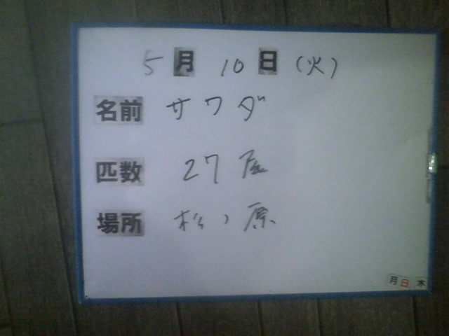 99c04eaf.jpg