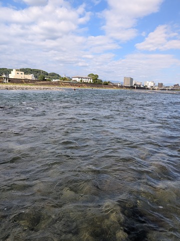 PXL_20251010_054306308