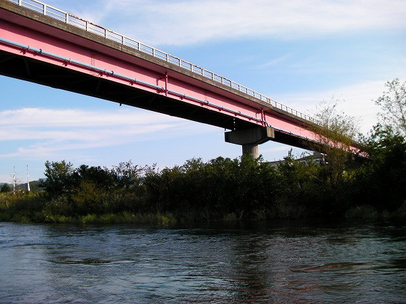 9d5435e3.jpg