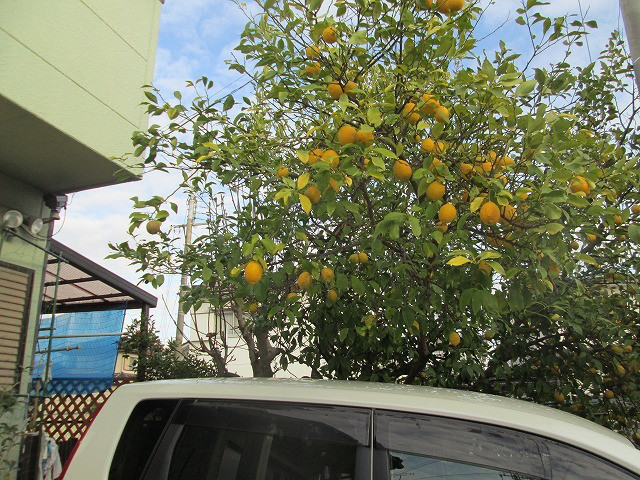 a261268c.jpg