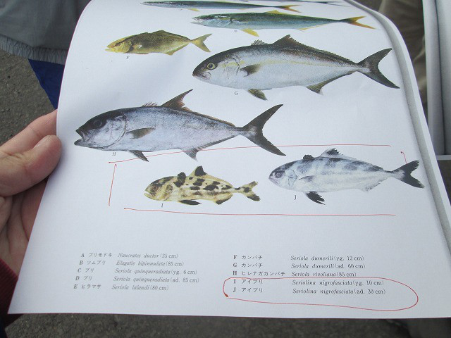 a2edca97.jpg