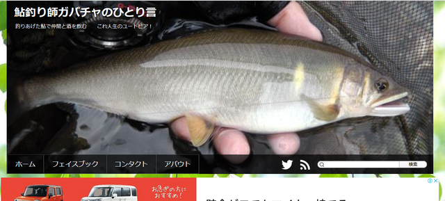 キャsプチャ