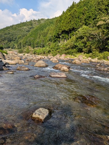 PXL_20250831_071705871.MP