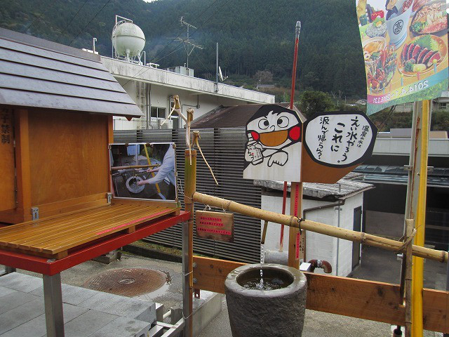 a6307edb.jpg