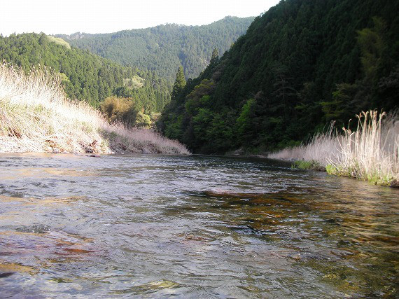 a68c6d41.jpg