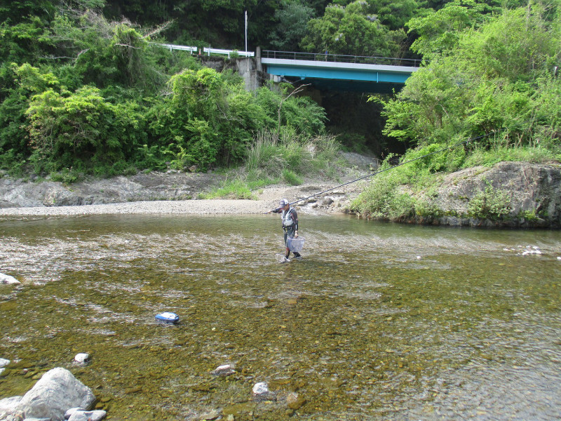 a778a04f.jpg