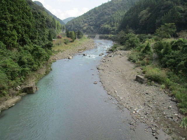 a80f031c.jpg