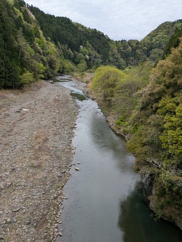 PXL_20260422_014118672.MP