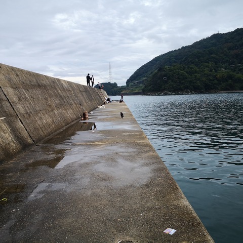 IMG_20201107_104533