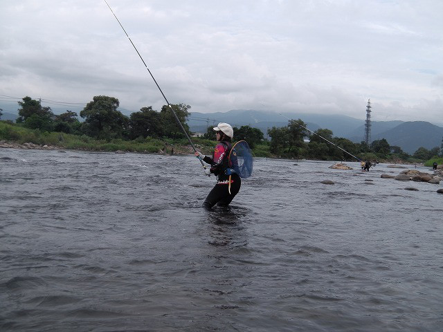 a855f156.jpg