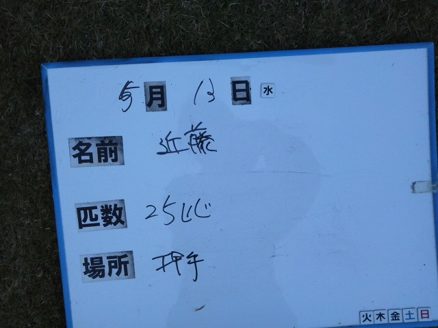 aea64a63.jpg